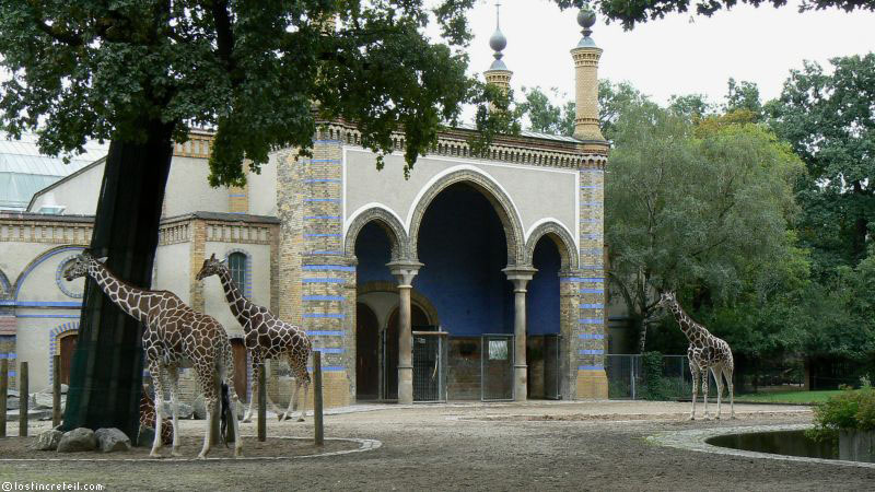 Berlin zoo